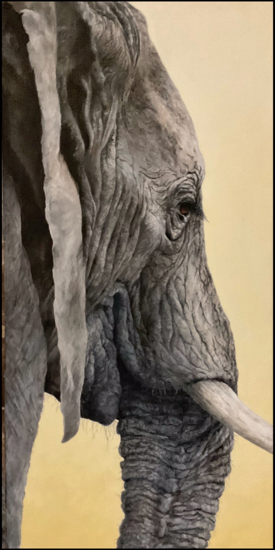 Gentle Giant