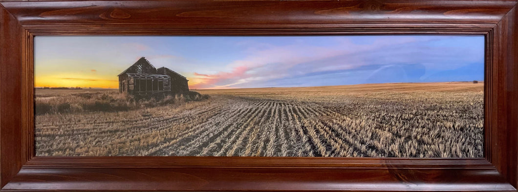 Sunset Over the Field