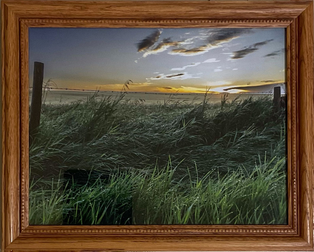 Sunrise After a Rain