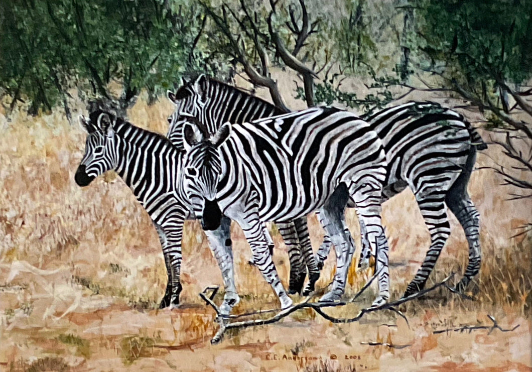 Striped Confusion