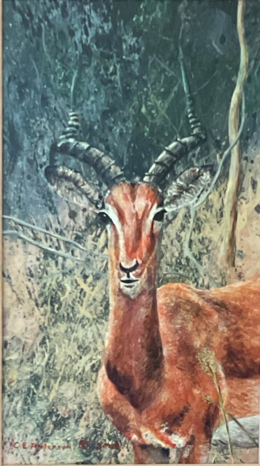 Impala