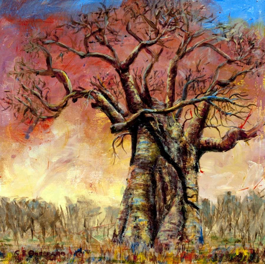 Wizard of the Bushveld