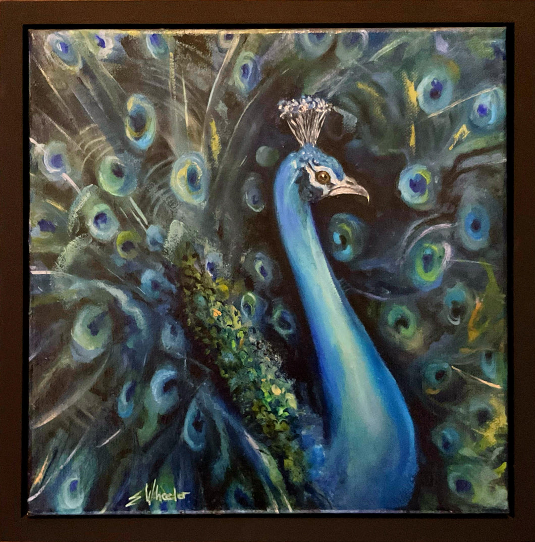 Peacock