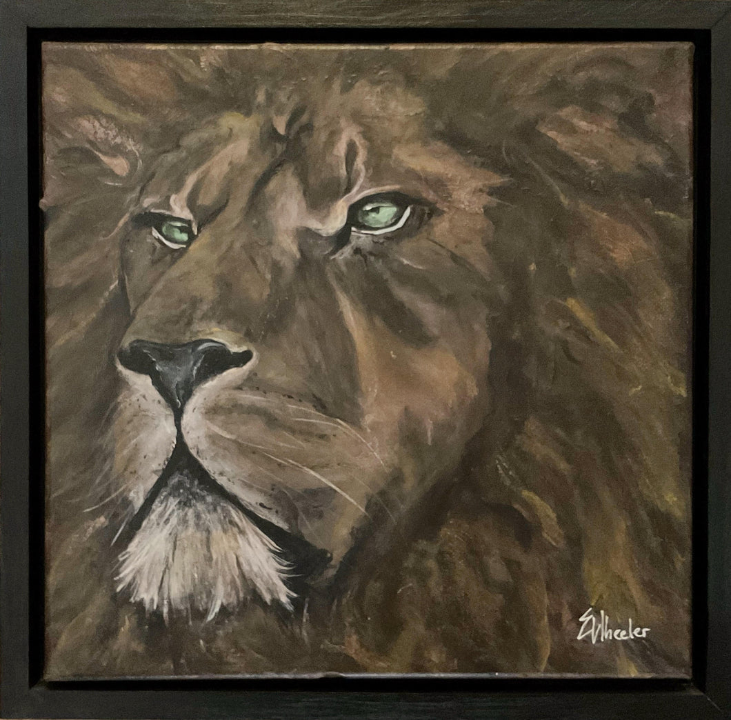 African Lion - NOT FOR SALE