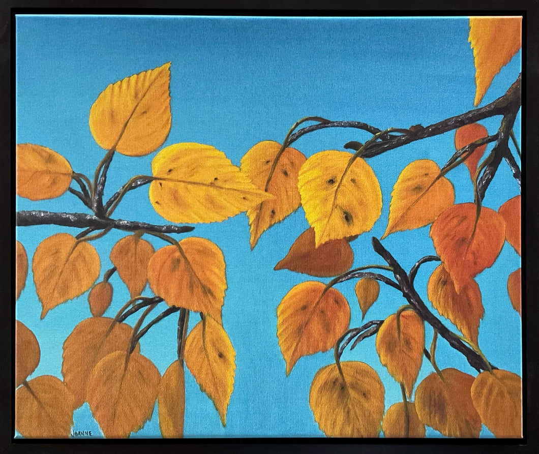 Alberta Poplar Leaves