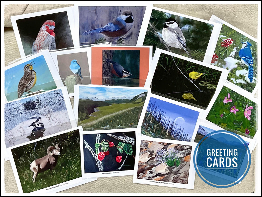 Greeting Cards Marten (large)